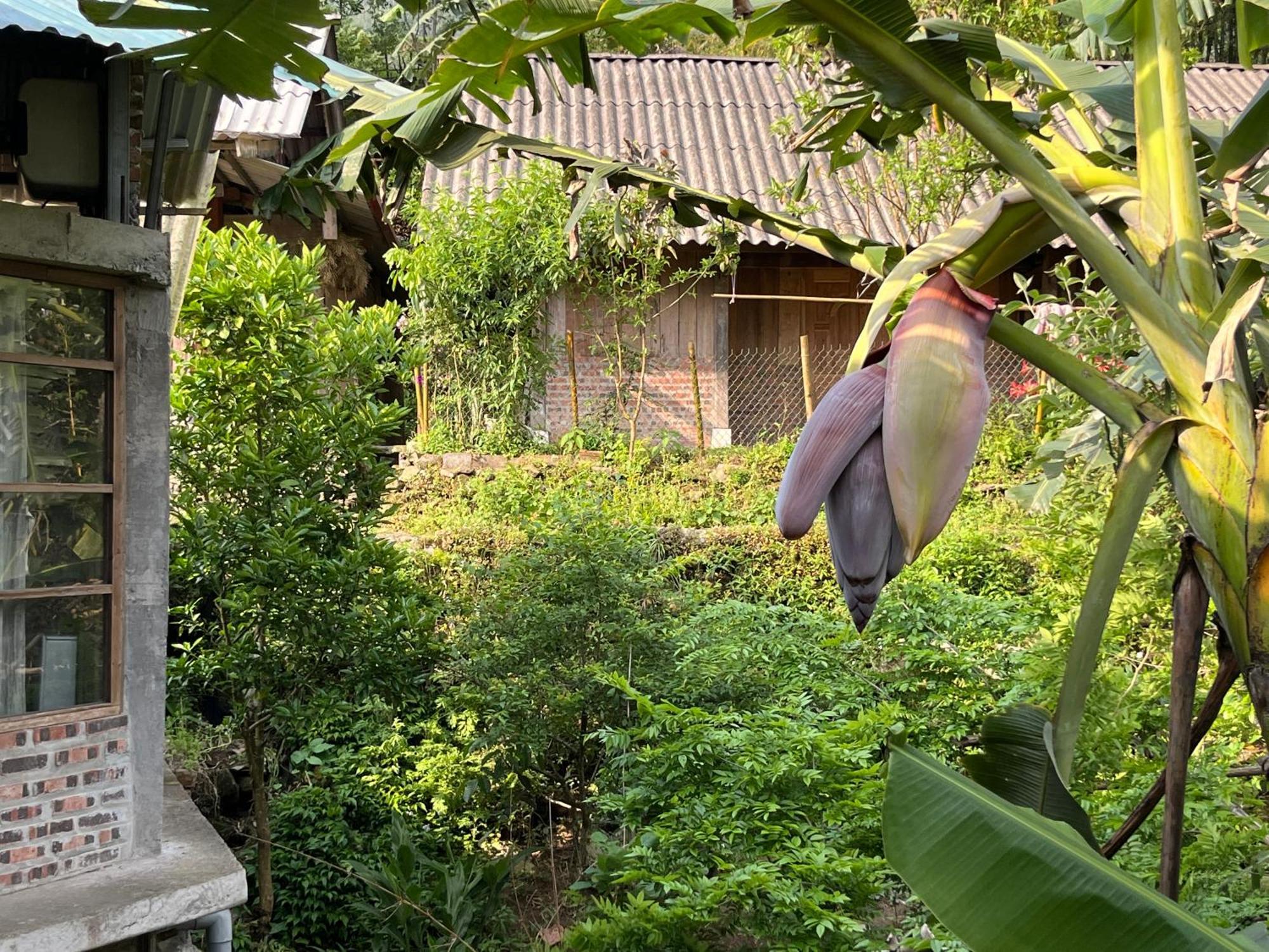Apartmán Ya'S House Sapa Exteriér fotografie
